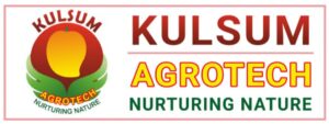 Horizontal logo of Kulsum