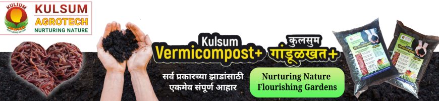 Kulsum Vermicompost Plus